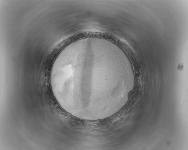 X0000093610870200711051217