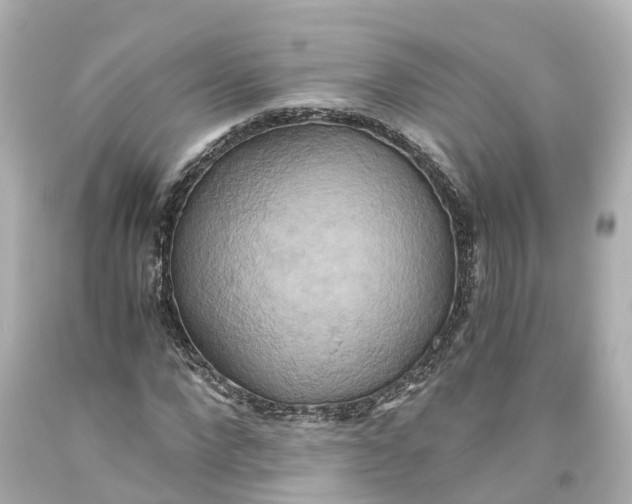 X0000093610872200711051217