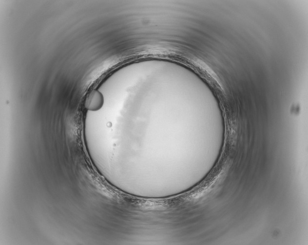 X0000093610874200711051217