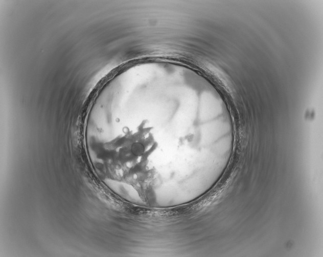 X0000093610875200711051217