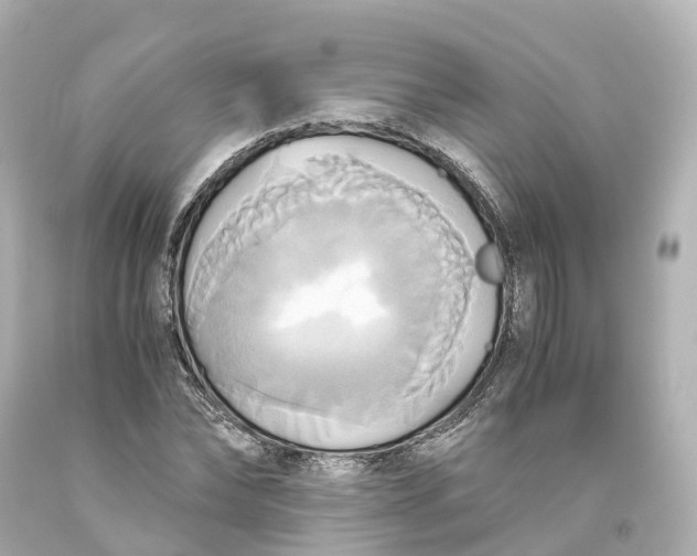 X0000093610878200711051217