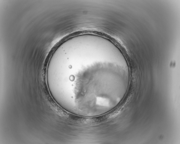 X0000093610879200711051217