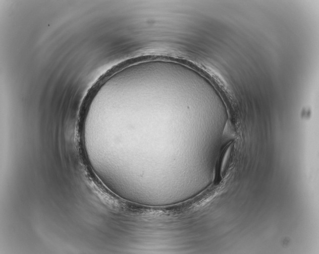 X0000093610880200711051217