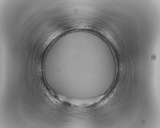 X0000093610881200711051217