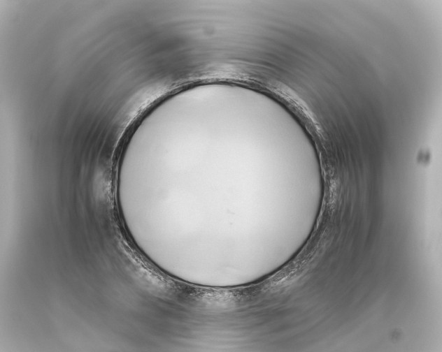 X0000093610882200711051217