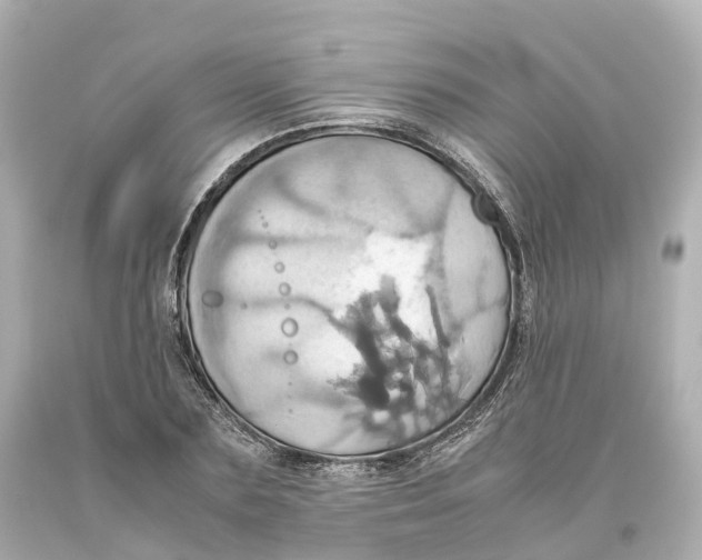 X0000093610883200711051217