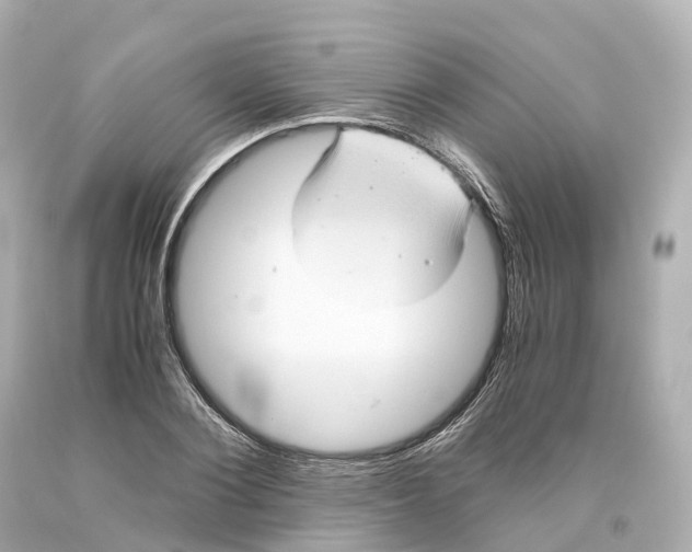 X0000093610884200711051217
