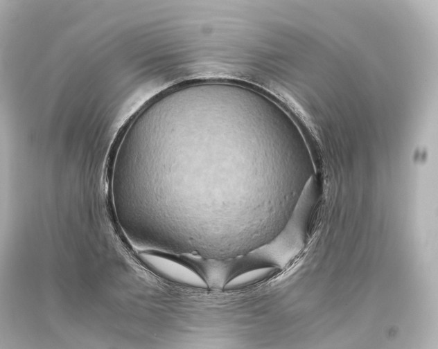 X0000093610885200711051217
