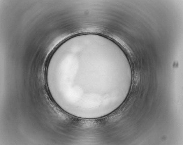 X0000093610886200711051217