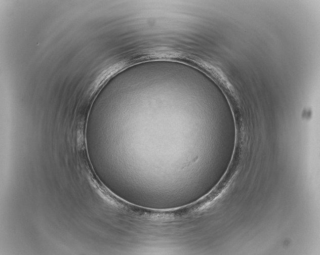 X0000093610889200711051217