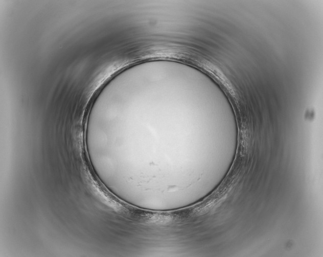 X0000093610890200711051217