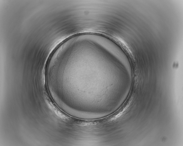 X0000093610892200711051217