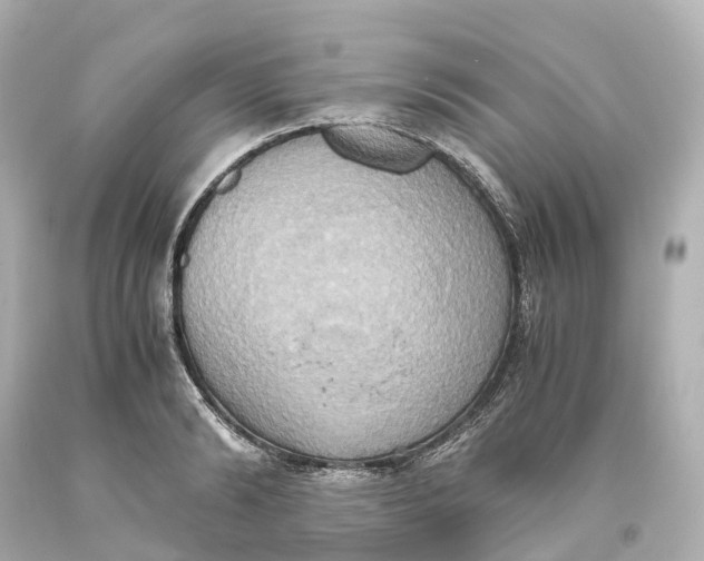 X0000093610894200711051217