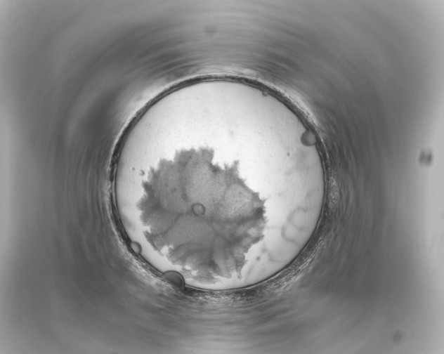 X0000093610895200711051217