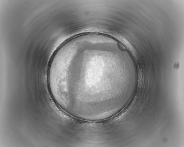 X0000093610896200711051217