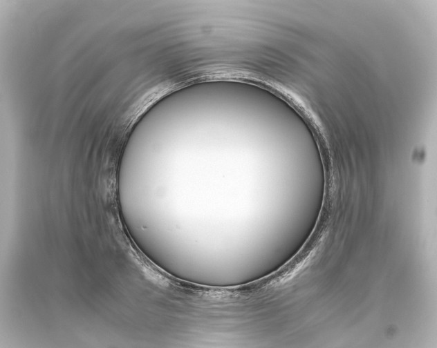 X0000093610897200711051217