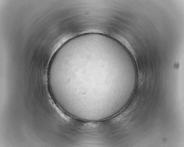 X0000093610898200711051216