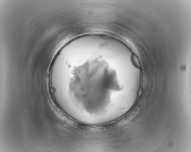 X0000093610899200711051216