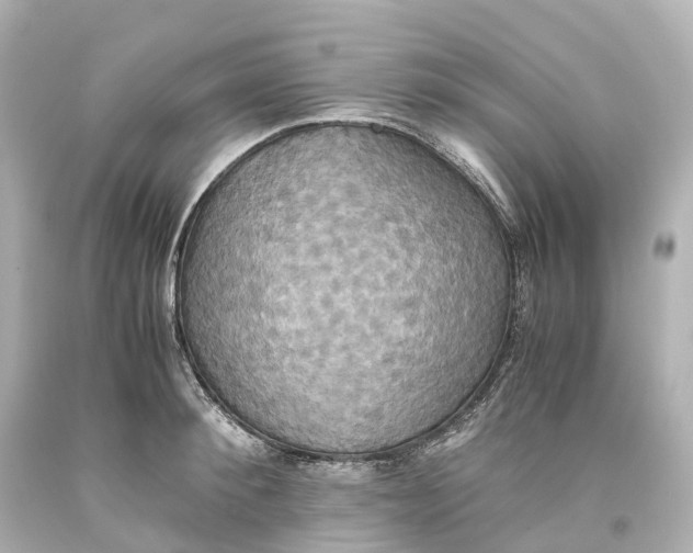 X0000093610900200711051216