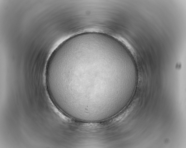 X0000093610902200711051216