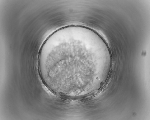 X0000093610903200711051216