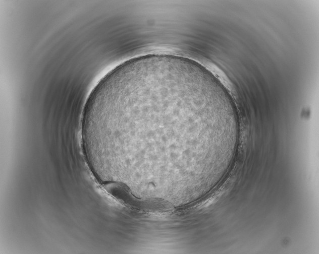 X0000093610904200711051216