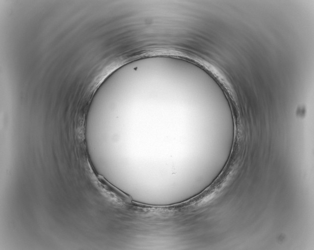 X0000093610905200711051216