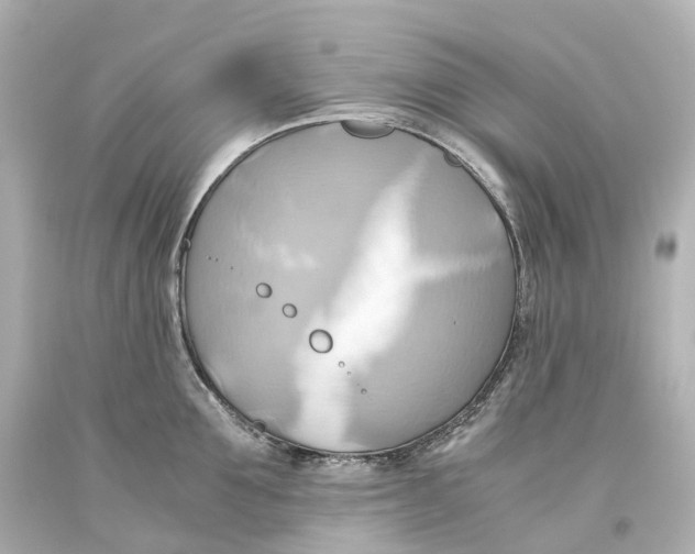 X0000093610907200711051216