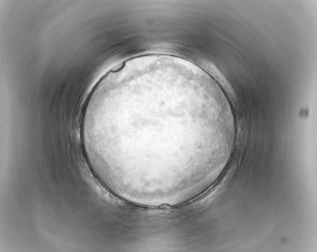 X0000093610908200711051216