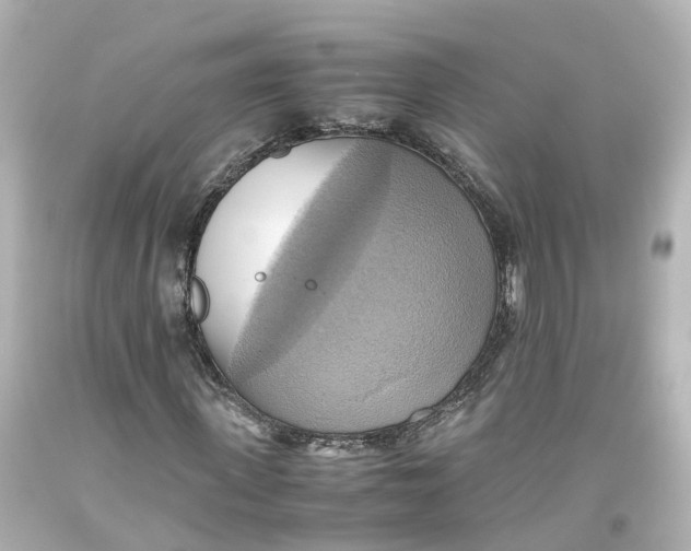 X0000093610915200711051216