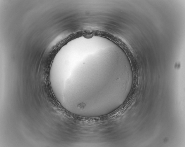 X0000093610919200711051216