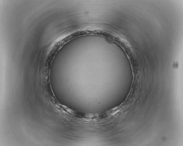 X0000093610920200711051216