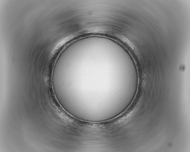 X0000093610922200711051216