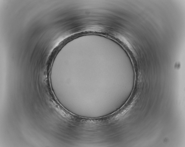 X0000093610923200711051216