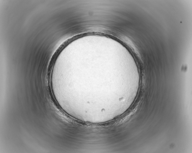X0000093610924200711051216