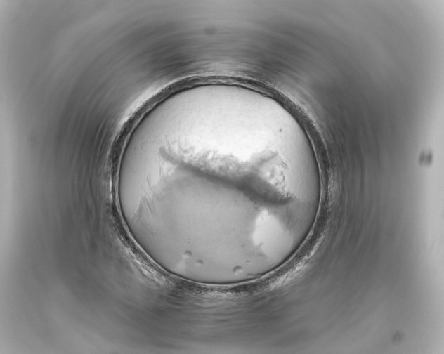 X0000093610925200711051216