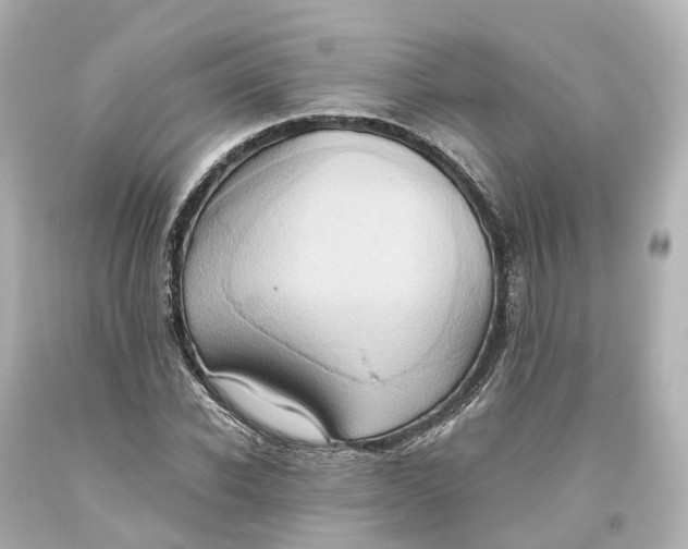 X0000093610926200711051216