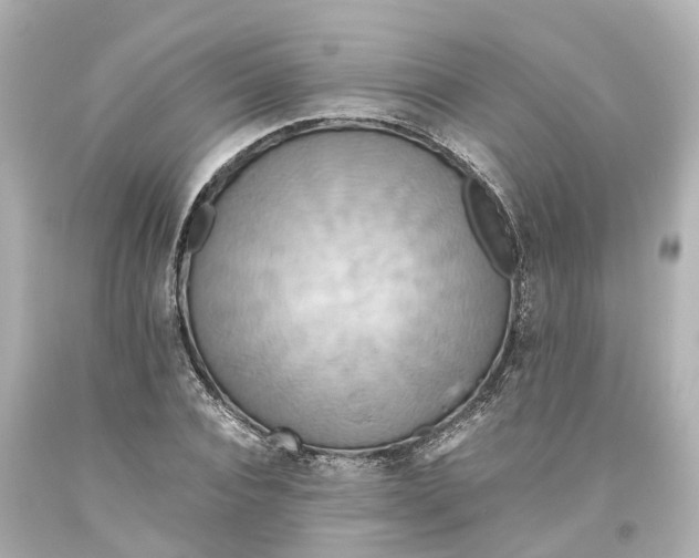 X0000093610928200711051216