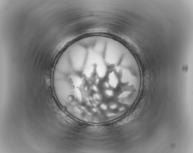 X0000093610929200711051216