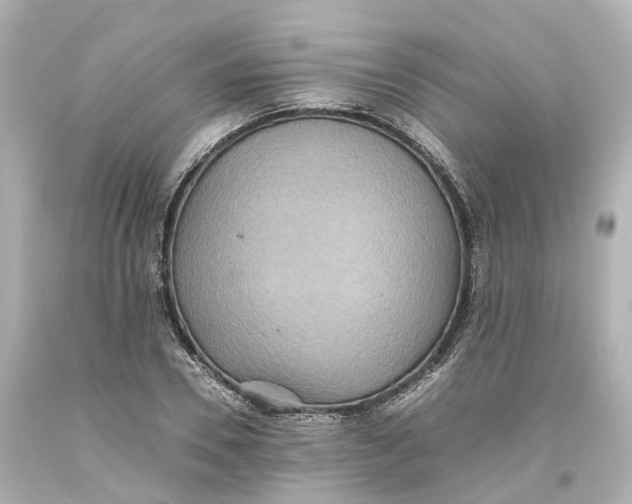X0000093610930200711051216