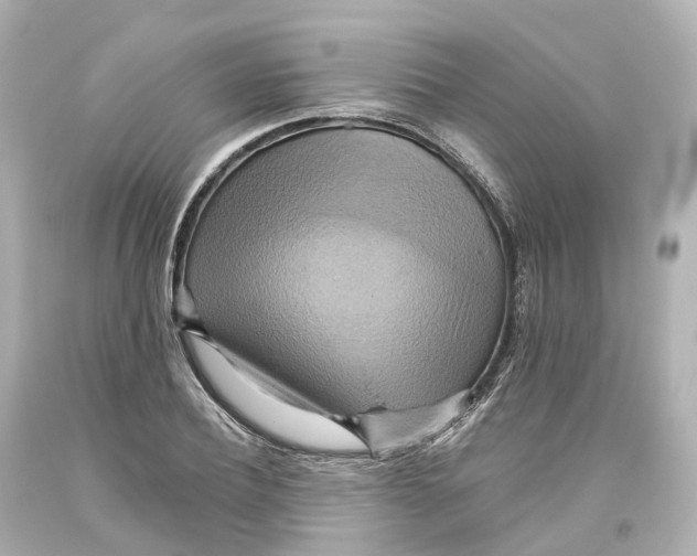 X0000093610932200711051216