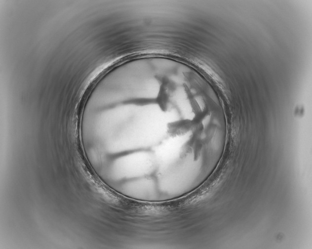 X0000093610933200711051216