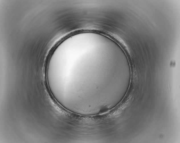 X0000093610935200711051216
