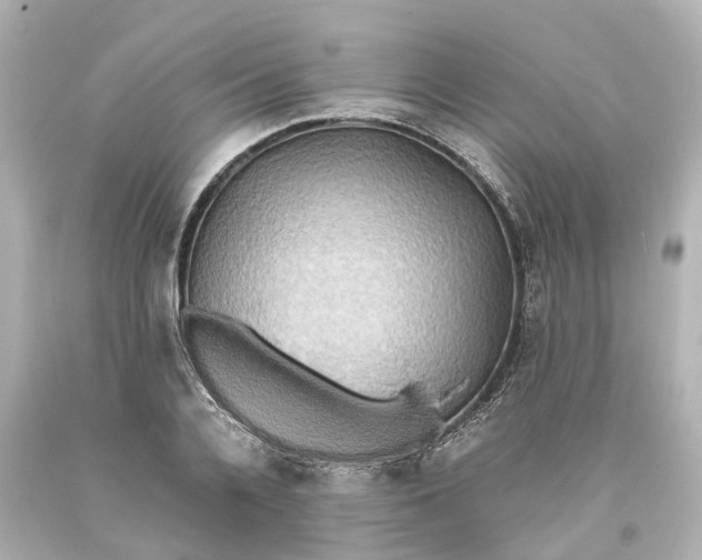 X0000093610936200711051216