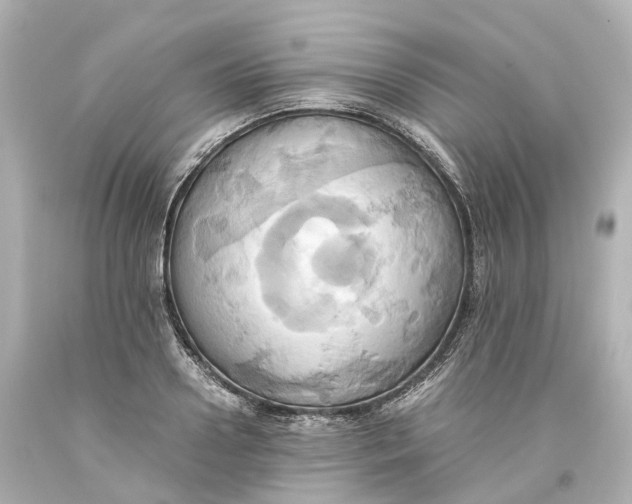 X0000093610938200711051216