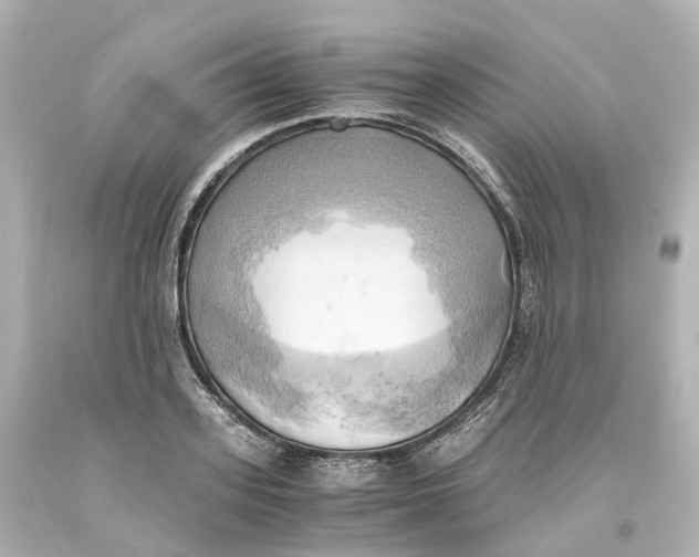 X0000093610939200711051216
