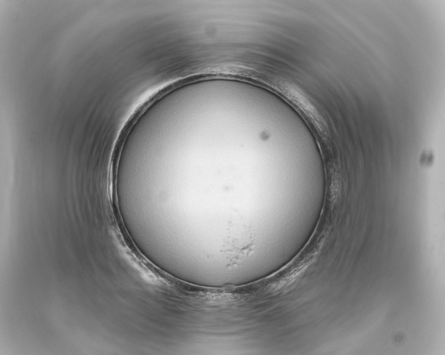 X0000093610940200711051216