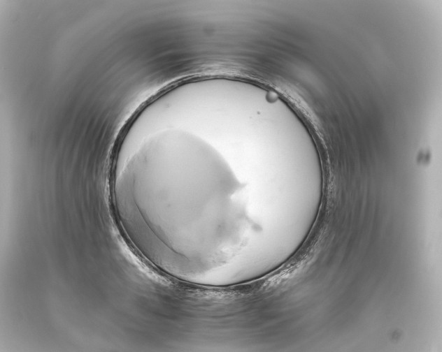 X0000093610941200711051216