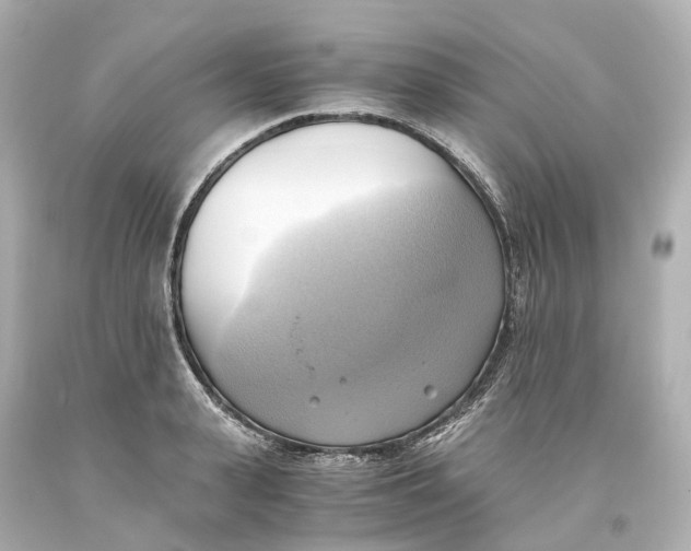 X0000093610943200711051216