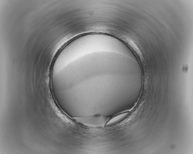 X0000093610944200711051216